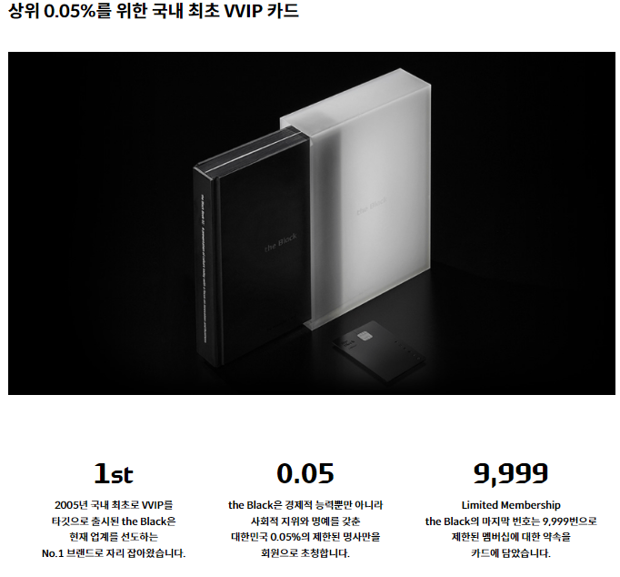 현대 블랙카드(the Black Edition 2)