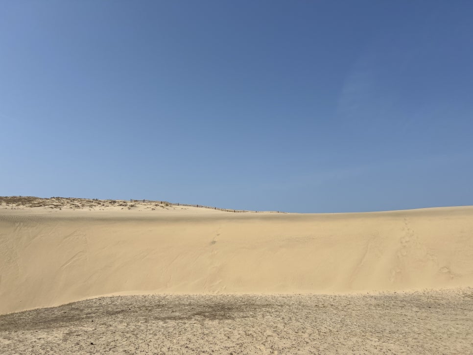 신두리 해안사구