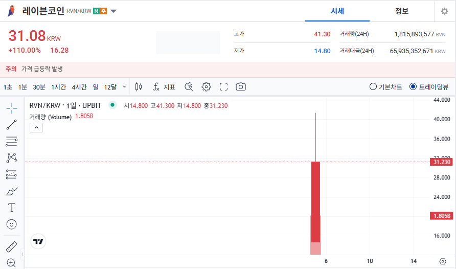 레이븐코인 시세 전망