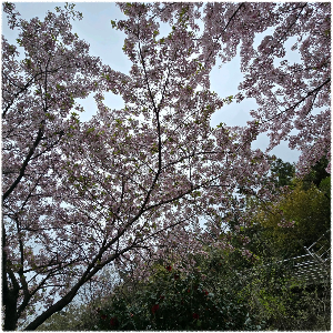 입암산