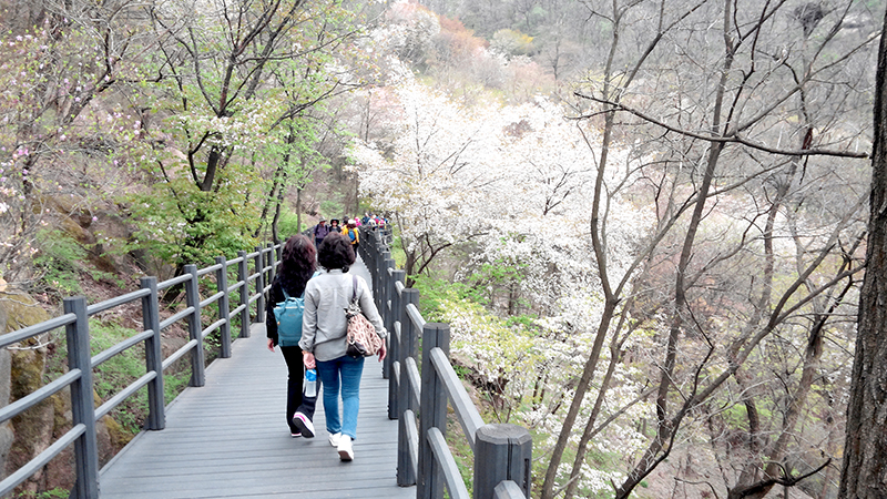 안산자락길(Ansan Jarakgil)