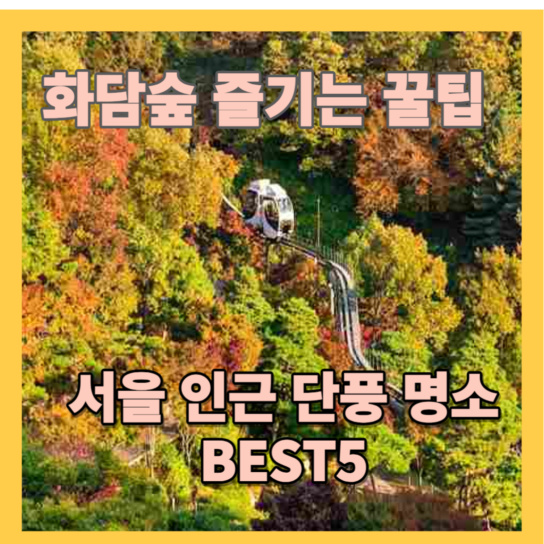 화담숲 예약, 모노레일 예약 과 서울 인근 단풍 명소 BEST 5