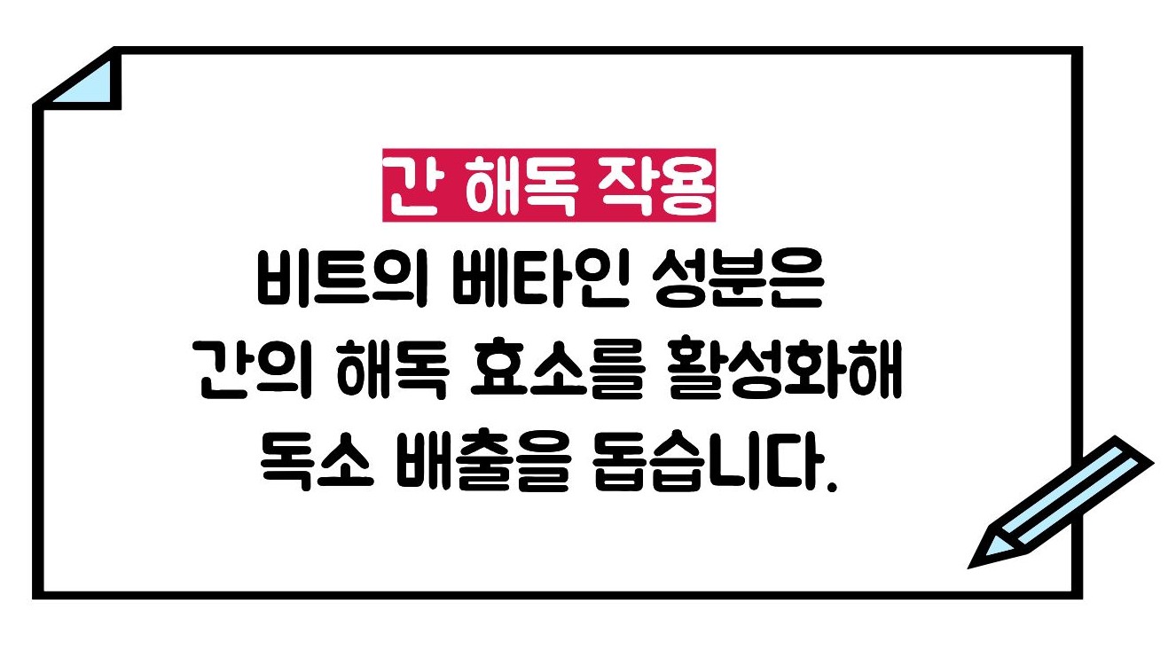 비트 효능