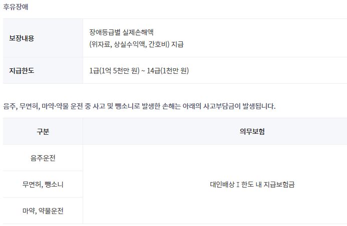 사고부담금 내용