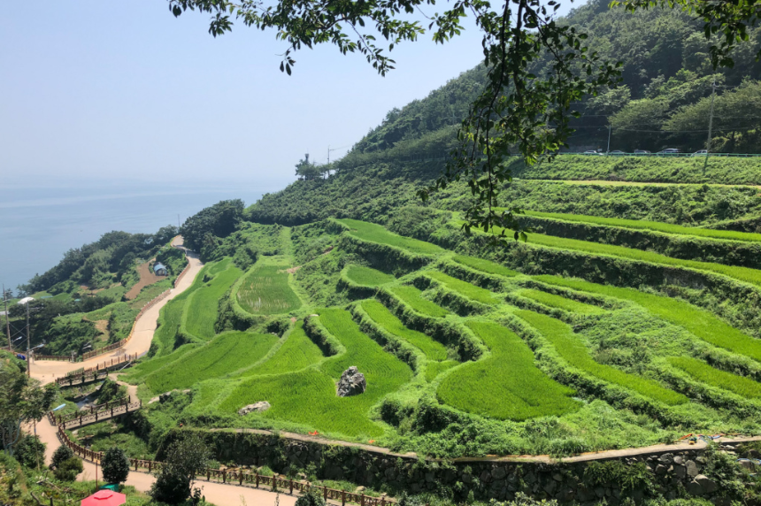 남해 여행 가이드 : 꼭 가봐야 할 명소 & 맛집 추천