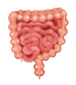 왼쪽 아랫배 통증