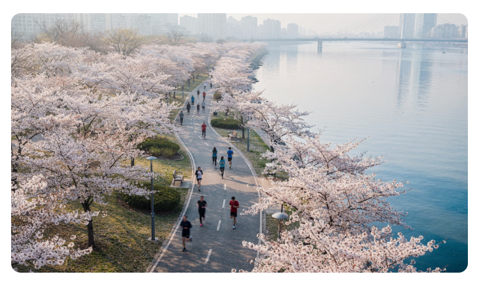 서울 근교 산책·달리기·트레킹 명소 완벽 가이드 | 주말 액티비티 추천