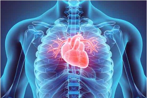 ์๋ํธ๋ฆฌ ํ
๋ผํจํฑ์ค(WINT), ๊ธ์ฑ ์ฌ๋ถ์ ์ด์คํ๋ก์ฌ ์์ ๊ฐ๋ฐ ์ํ ๋ฐ์ดํฐ ๊ณต๊ฐ