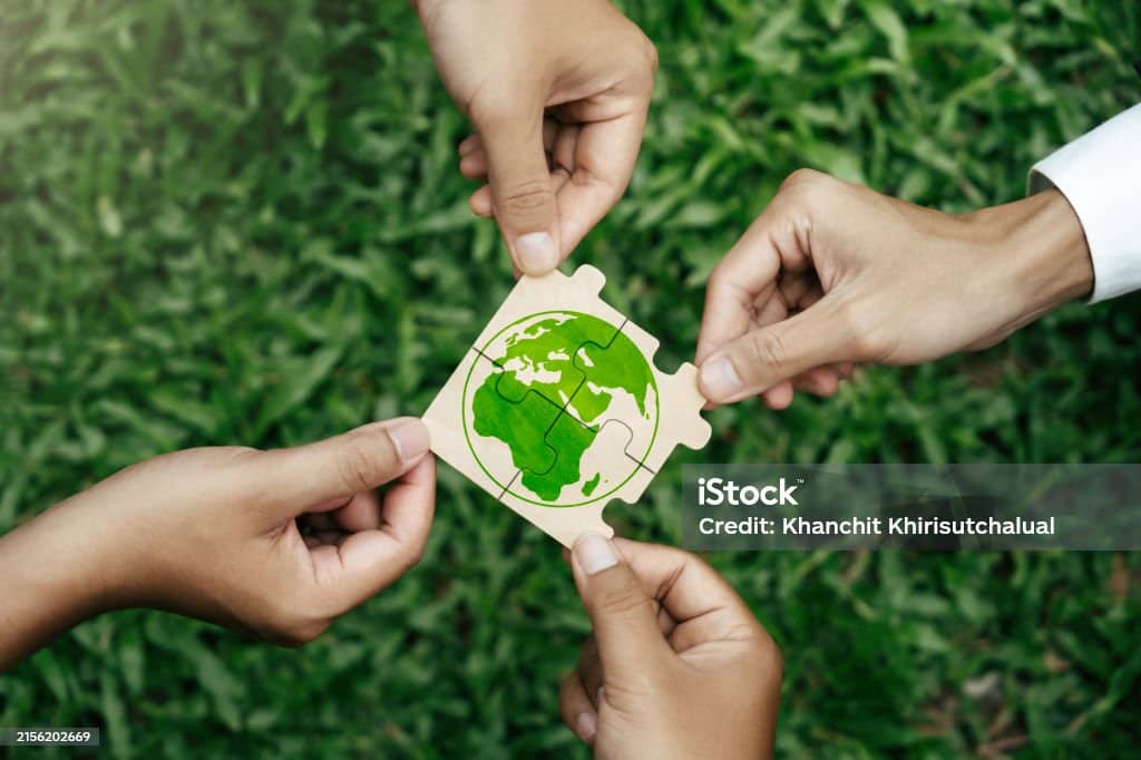 임산부의 제로 웨이스트 실천이 태아 호르몬 시스템과 환경호르몬 노출에 미치는 영향