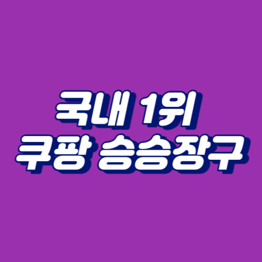 국내 1위 쿠팡 승승장구