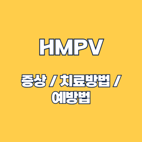 2025년 인간 메타뉴모바이러스(HMPV) 증상, 치료법, 예방 총정리