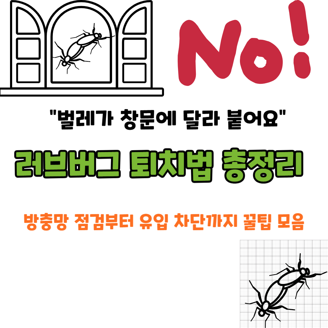 러브버그, 6월에도 또 돌아왔다 – 유입 원인부터 퇴치법까지 총정리