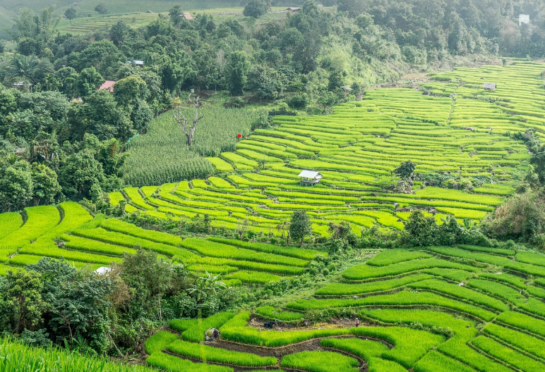 태국 치앙마이 &ndash; 디지털 노마드의 천국