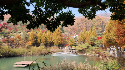 단풍명소_화담숲_연못