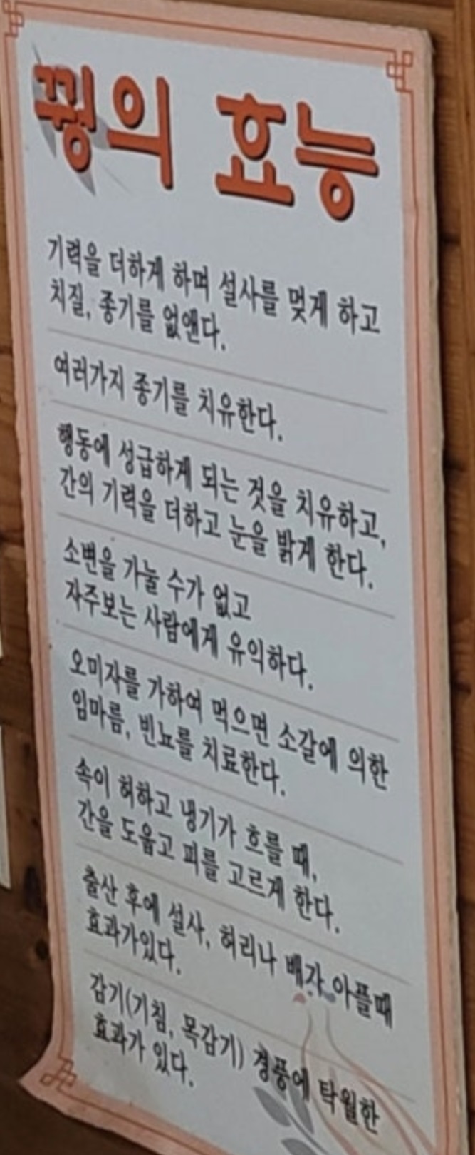 꿩의효능