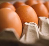 귀에 좋은 음식