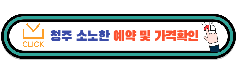 청주소노한가격