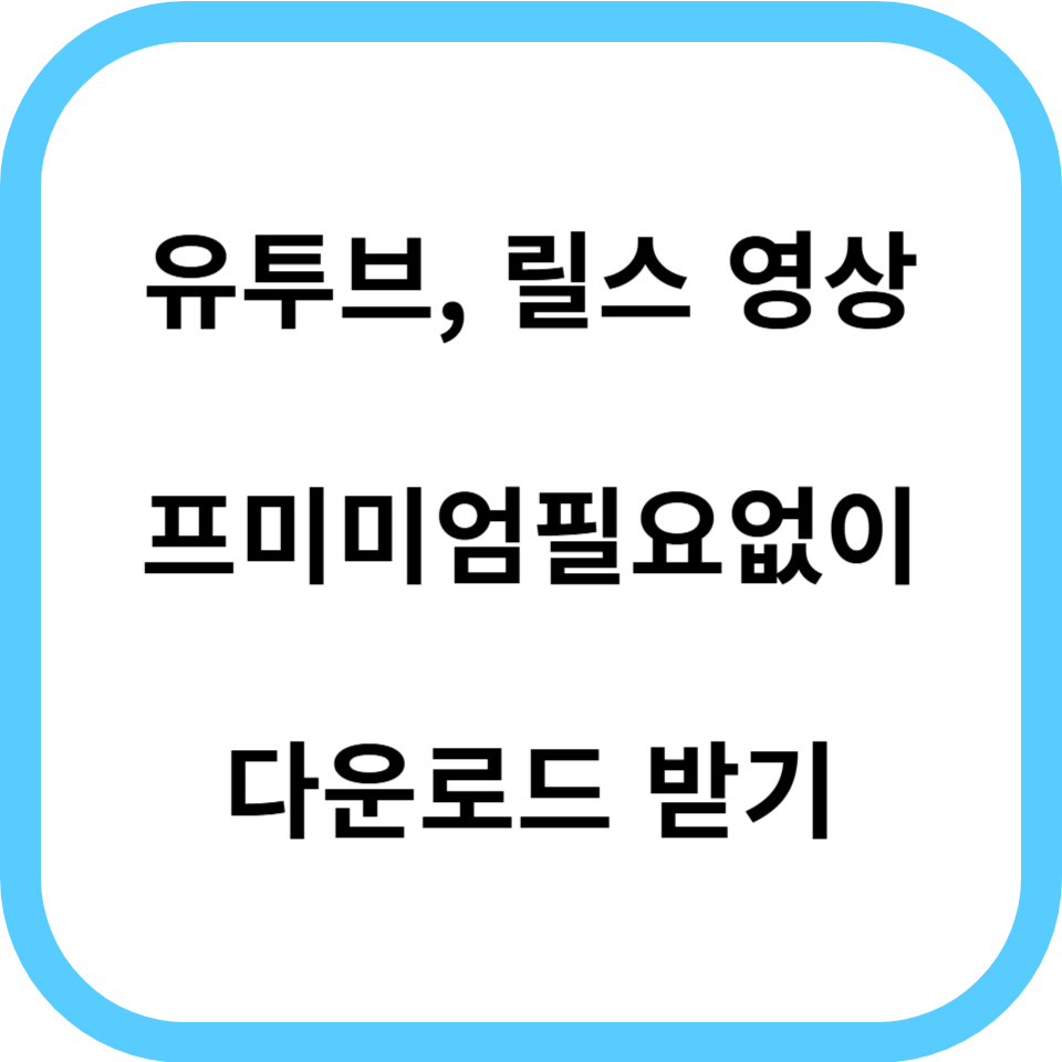유튜브 동영상 다운받기가 가능하다고?(프리미엄가입X, 인스타, 틱톡도 가능)