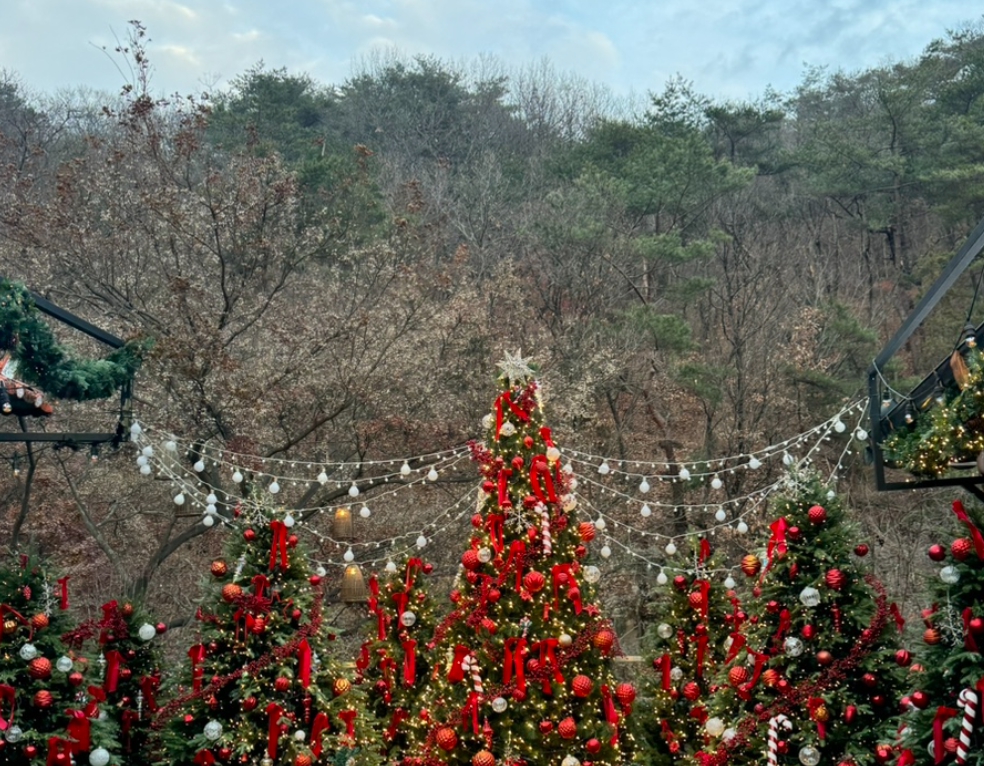 크리스마스/분위기/핫플/카페