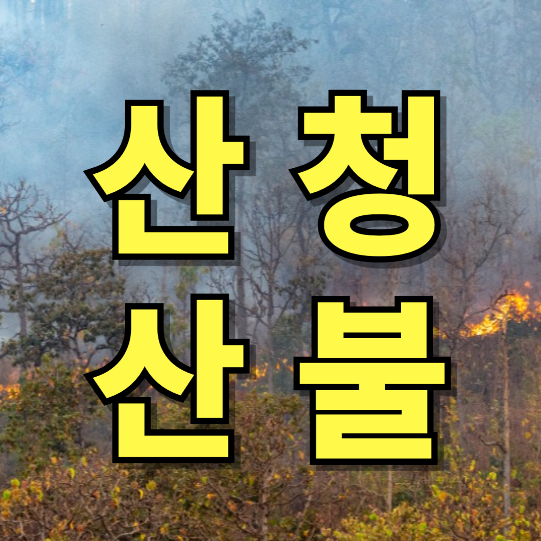 산청 야산 산불, 강풍 타고 확산... 160여 명 주민 긴급 대피