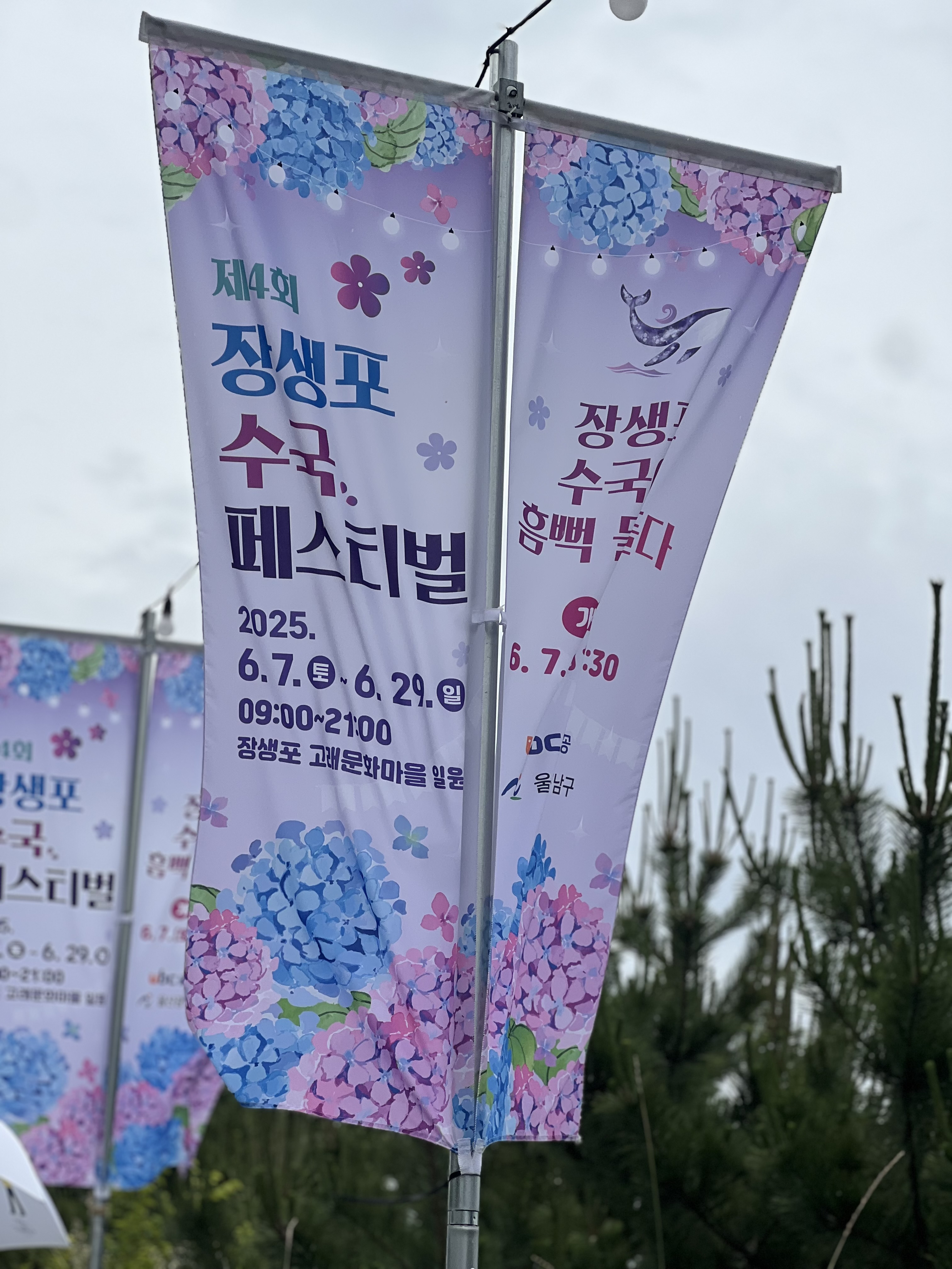 2025장생포 수국축제 플랜카드