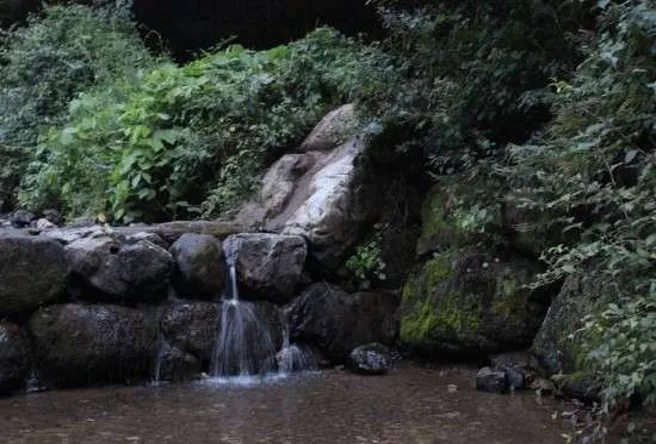 금화계곡