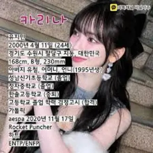 2025년 카리나 운세 타로카드