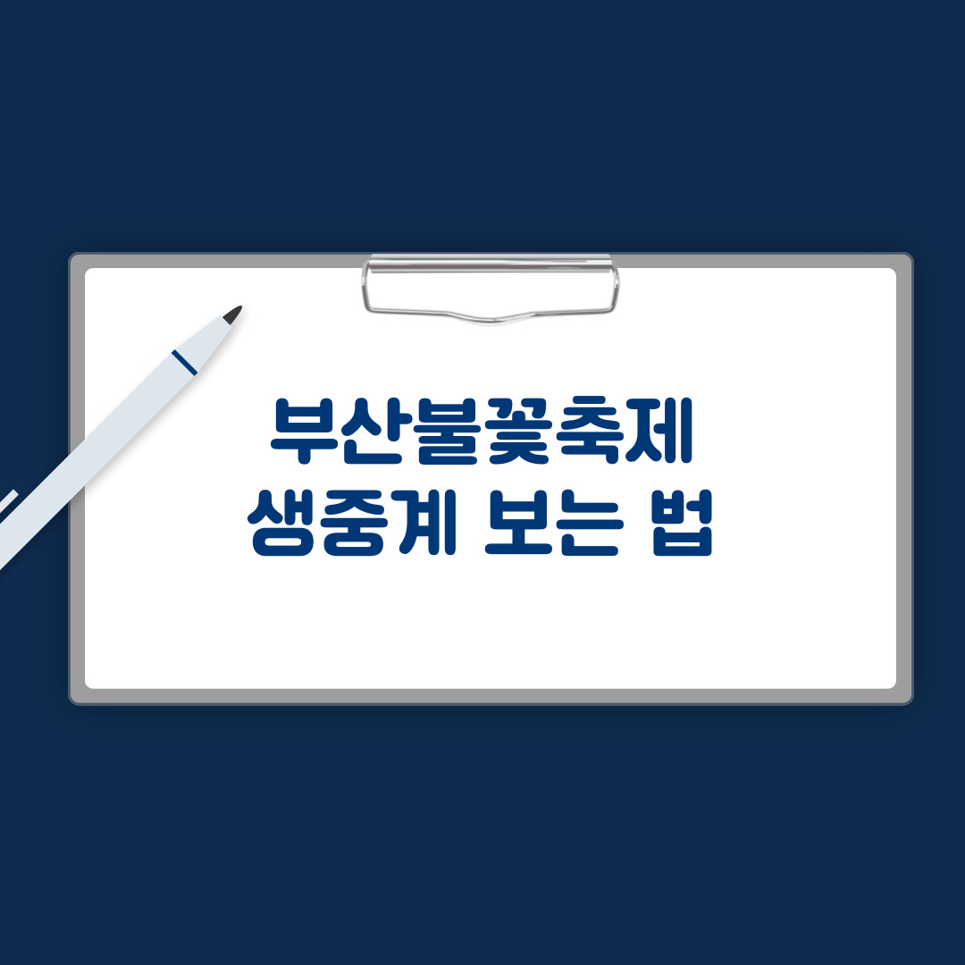 부산불꽃축제 생중계