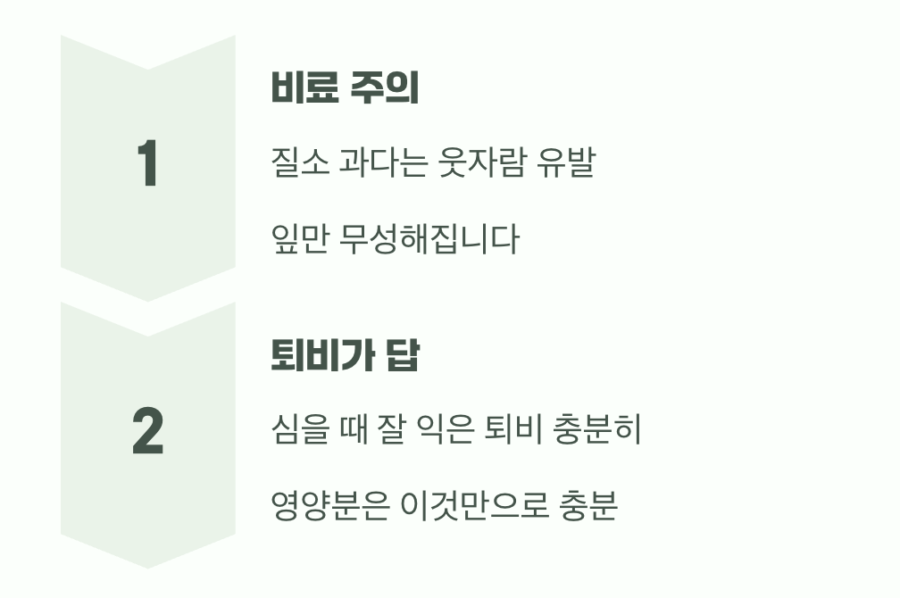 뿌리 깊은 나무가 열매도 잘 맺는다