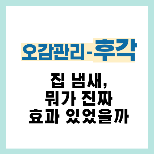 28편. 날씨에 따라 냄새 관리 효과가 달라지는 이유|같은 방법이 통하지 않았던 원인