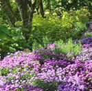 화담숲 단풍 절정시기