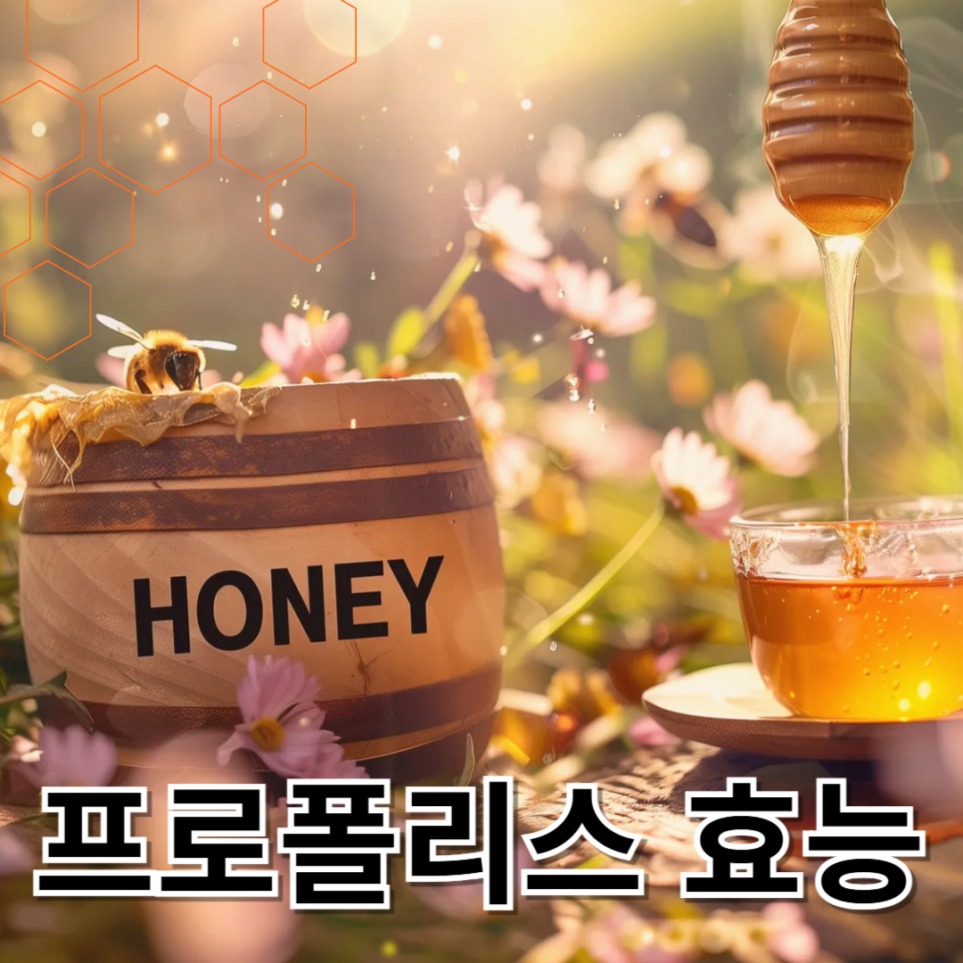 프로폴리스와 관련된 사진입니다.