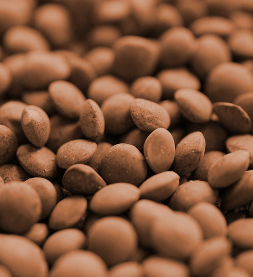 손톱에 좋은 음식 10가지