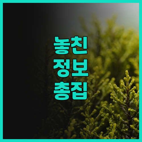 가성비 최고 조호르바루 호텔 KSL
