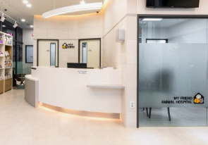 강아지 췌장염 증상