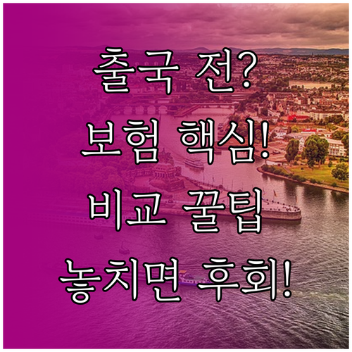 출국 전 여행자 보험 현명하게 가입하..