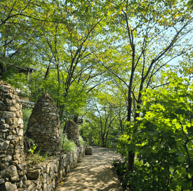 화담숲 예약 (ft. 할인 정보)