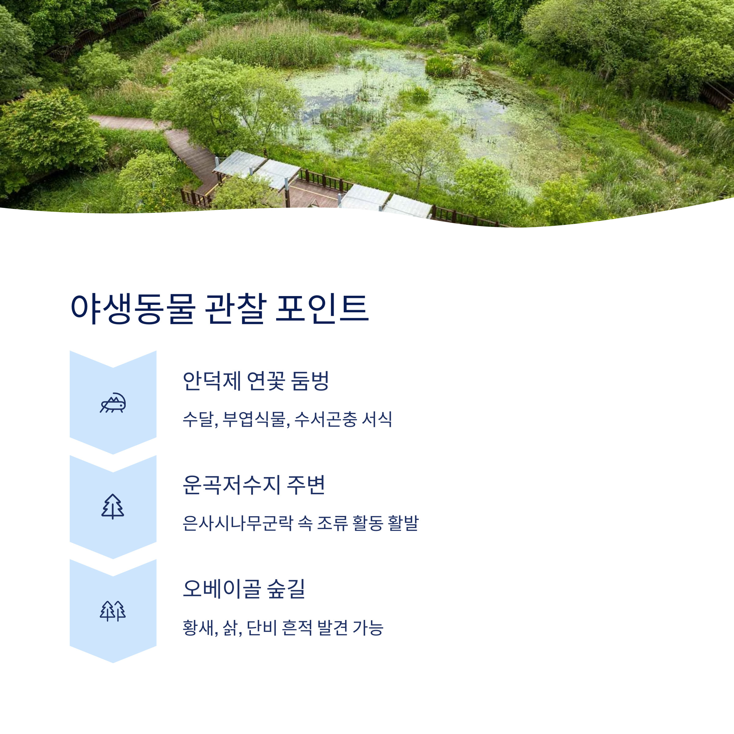 야생동물 관찰 포인트