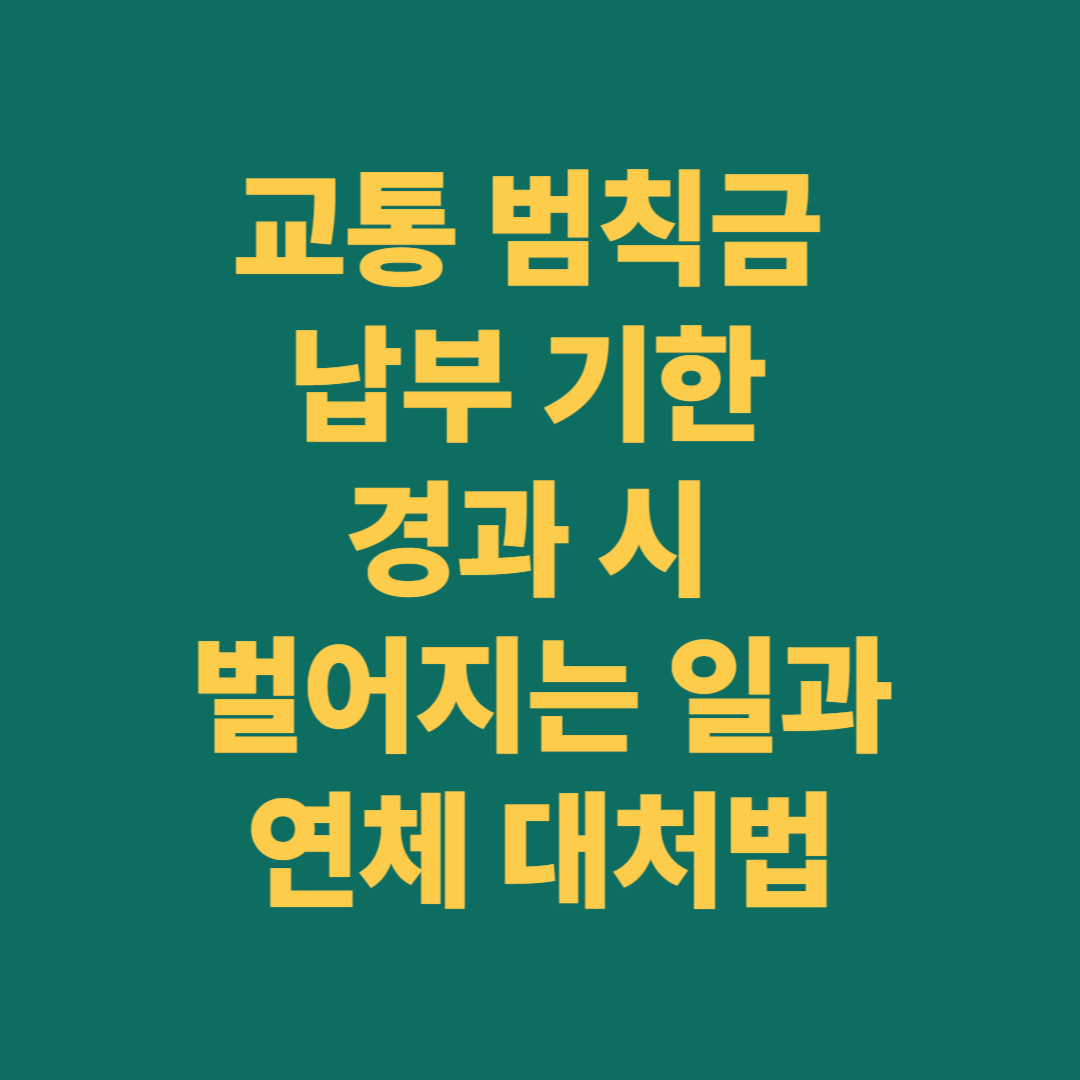 교통 범칙금 납부 기한 경과 시 벌어지는 일과 연체 대처법