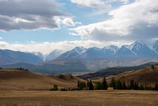 알타리무 재배 서늘한 기온 관리 연속 수확 물 주기_7