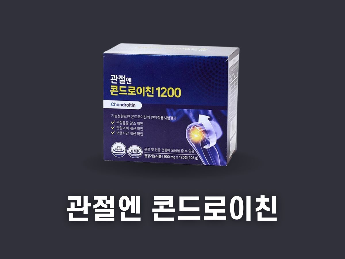 콘드로이친 1200