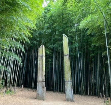 10월 부산 가볼 만한 곳