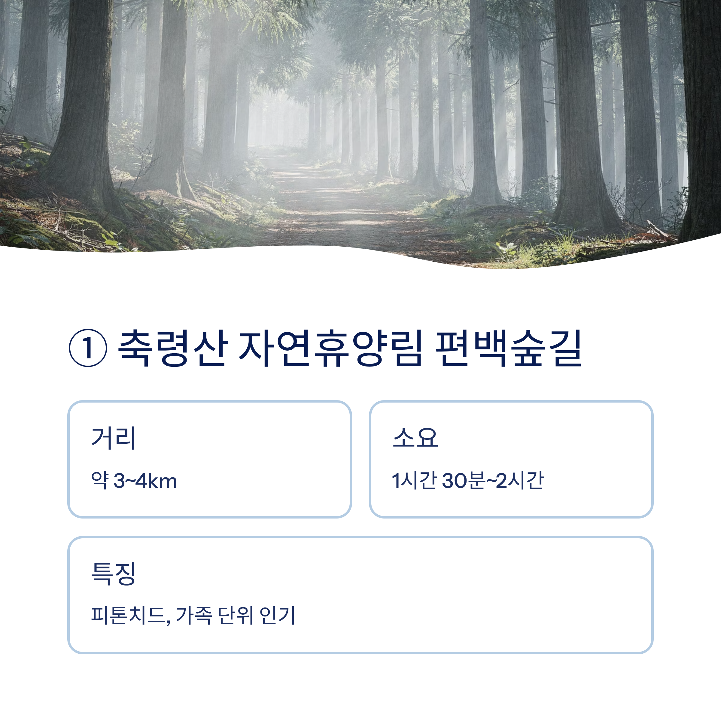 남양주 근교 산책 달리기 트레킹 코스 추천 ❘ 북한강과 숲이 만나는 서울 근교 힐링 스팟
