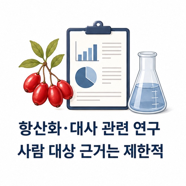 산수유 열매와 연구 자료, 실험 아이콘으로 항산화와 대사 관련 연구가 진행 중임을 보여주는 이미지