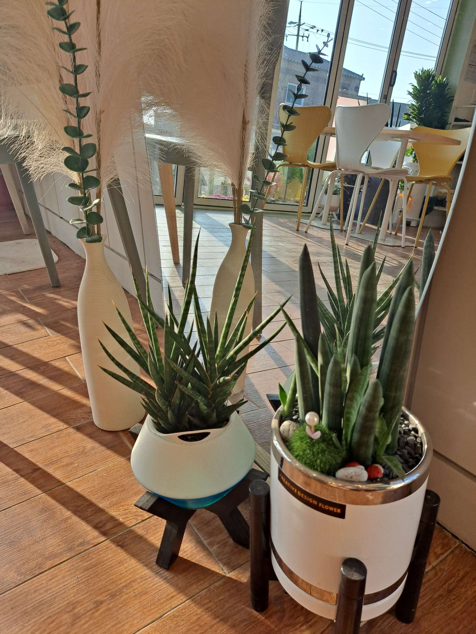 심봉사매장 화분들