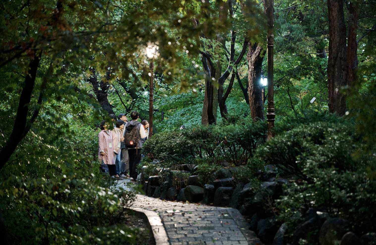 2025 청와대 밤마실, 6일간의 특별한 개방 봄밤 특별한 산책 예약 시작