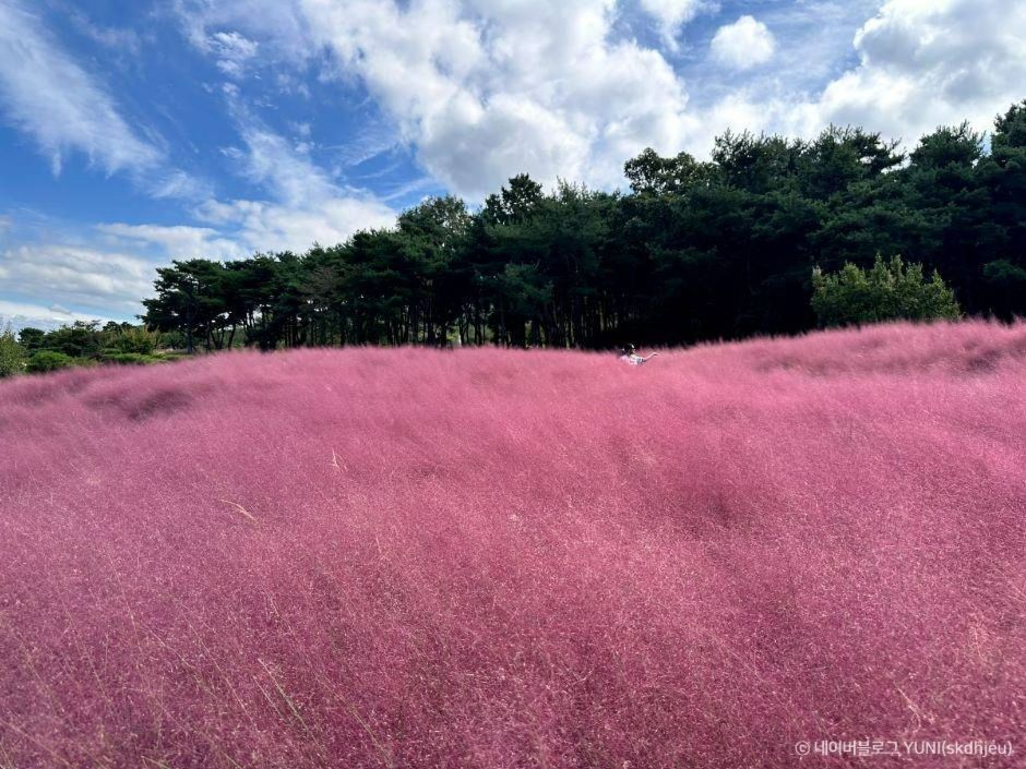 칠곡 가볼만한곳 베스트10
