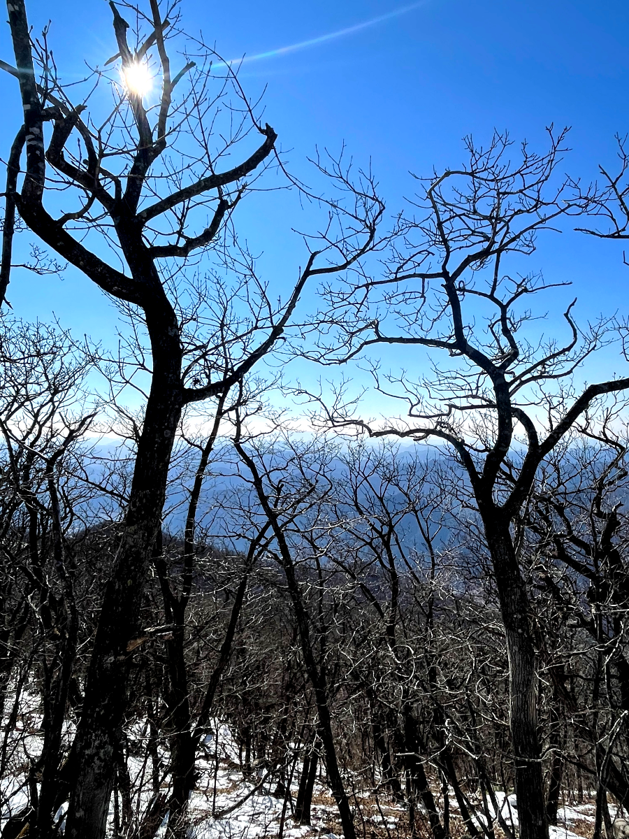 가리왕산 케이블카 체험여행안내 : 가리왕산 전망대 데크탑방