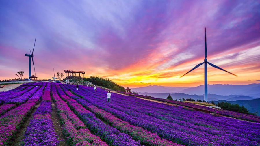 거창 가볼만한 곳