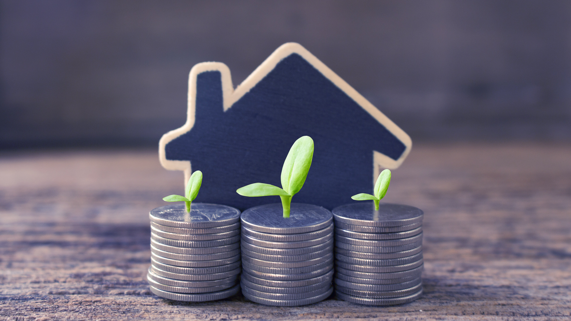 마이너스 통장을 활용하며 느낀 점